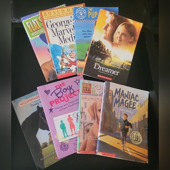 Children's Chapter Book Collection - Picture 1 of 9